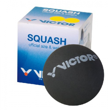 Victor Squashball