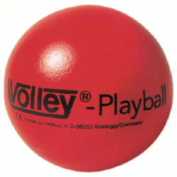 VOLLEY Softball Playball