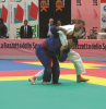 Judomatte "Trocellen Tatami