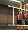 Volleyballnetz (DVV 1)