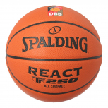 Spalding React TF 250 DBB (in 3 Größen)