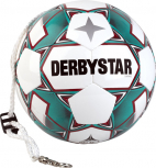 Derbystar Pendelball Swing